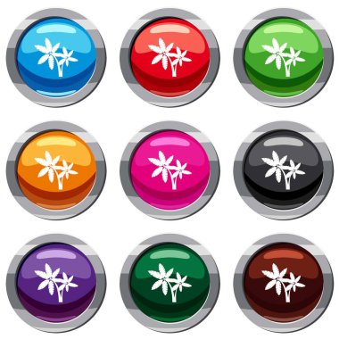 Palma 9 koleksiyonu ayarla