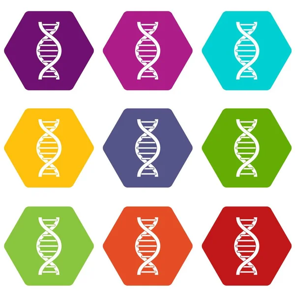 DNA spiral icon set color hexahedron — Stock Vector