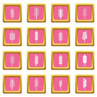 Kulak Mısır simgeler pembe