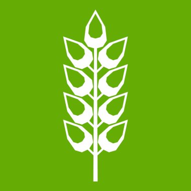 Uzun spica simgesi yeşil