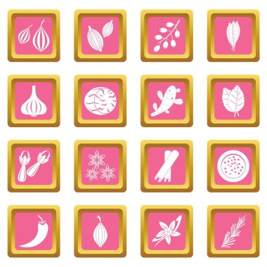 Baharat simgeler pembe