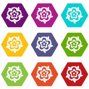 Renk altı yüzlü çiçek Icon set