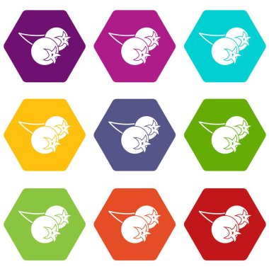 Renk altı yüzlü chokeberry veya aronia berry Icon set