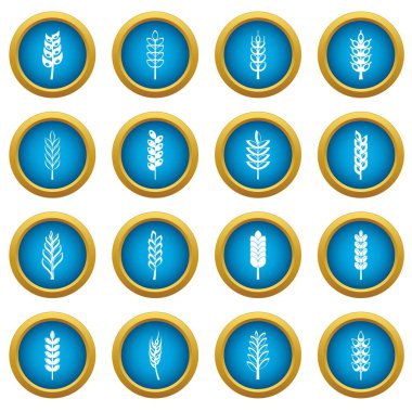 Kulak Mısır simgeleri mavi daire seti