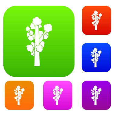 Ağaç Set koleksiyonu