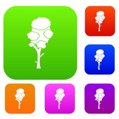 Linden koleksiyonu ayarla