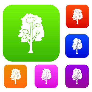 Ağaç Set koleksiyonu