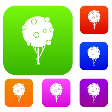 Ağaç meyve küme koleksiyonu ile