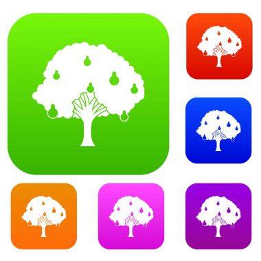 Armut ağacı ile armut koleksiyonu ayarla