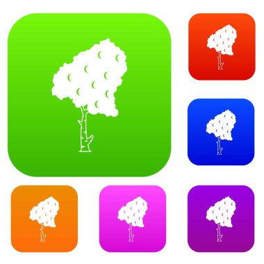 Huş koleksiyonu ayarla