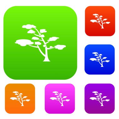 Sedir koleksiyonu ayarla