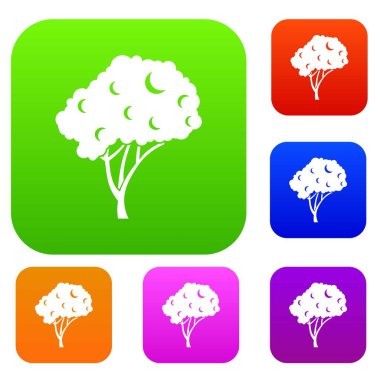 Ağaç Set koleksiyonu