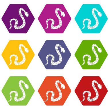 Renk altı yüzlü çizgili yılan Icon set