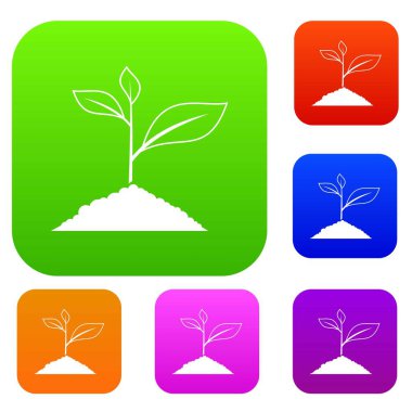 Bitki yetiştirme koleksiyonu ayarla