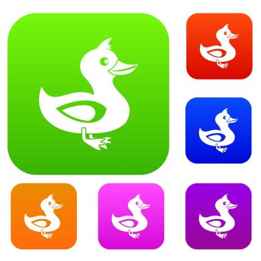 Black duck koleksiyonu ayarla