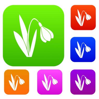 Bell çiçek koleksiyonu ayarla