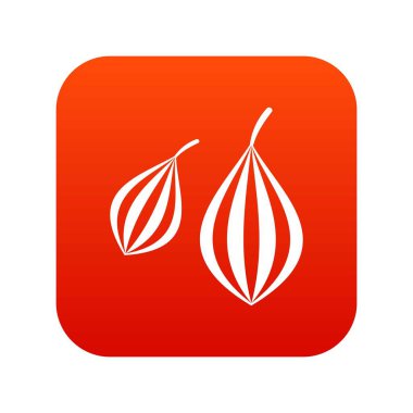 Trachyspermum annem simgesi dijital kırmızı