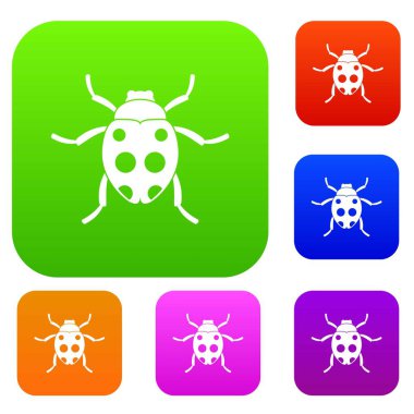 Uğur böceği koleksiyonu ayarla