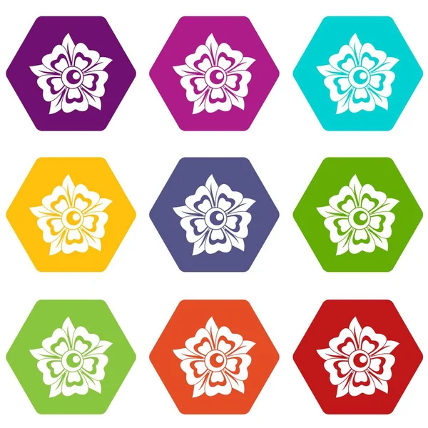 Renk altı yüzlü çiçek Icon set