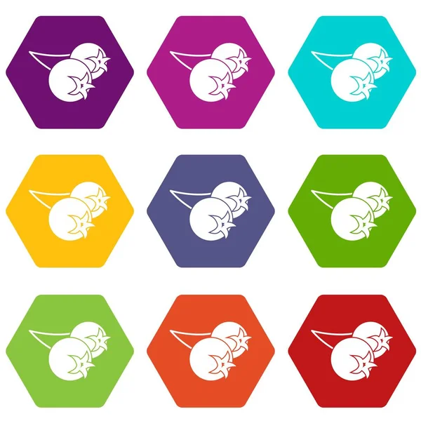 Renk altı yüzlü chokeberry veya aronia berry Icon set