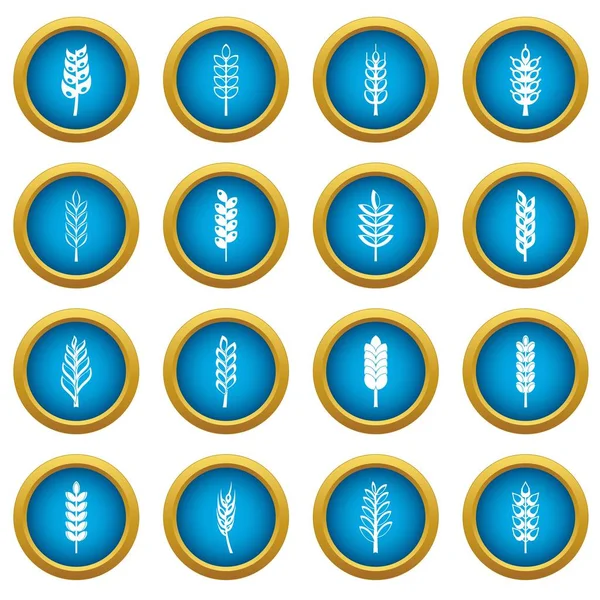 Kulak Mısır simgeleri mavi daire seti