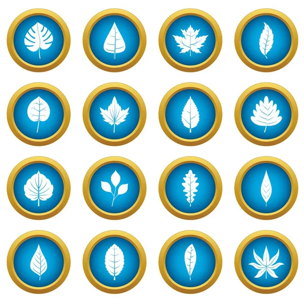 Simgeleri mavi daire kümesi bitki yaprakları