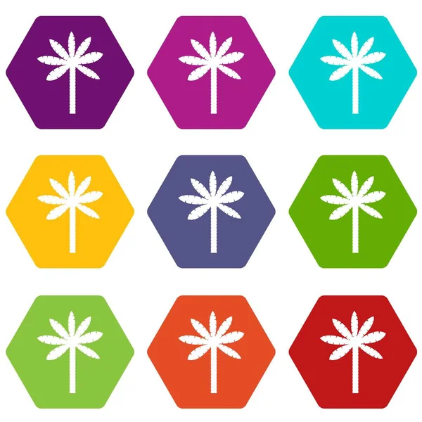 Palmera icono conjunto hexaedro color — Vector de stock