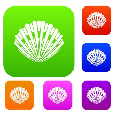 İnci kabuğu koleksiyonu ayarla