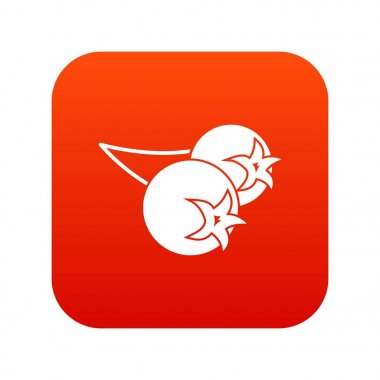 Chokeberry veya aronia berry simgesini dijital kırmızı