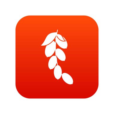 Cornel veya kızılcık Şubesi çilek simgesini sayısal kırmızı