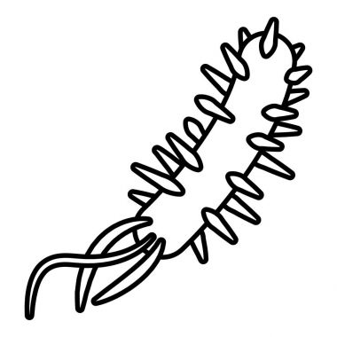 E coli bakteri simgesi, anahat stili