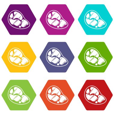 Renk altı yüzlü biftek Icon set