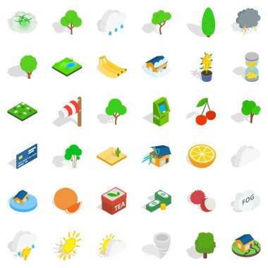 Canlı simgeler kümesi, izometrik stili