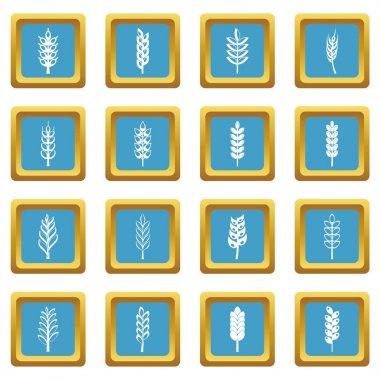 Kulak Mısır simgeler gök mavisi