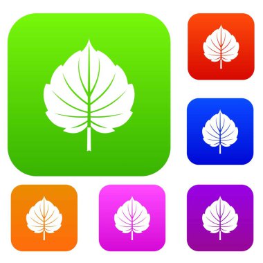 Kızılağaç yaprak set renk koleksiyonu