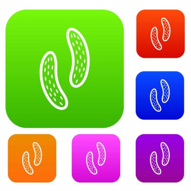 Epitel hücre koleksiyonu ayarla