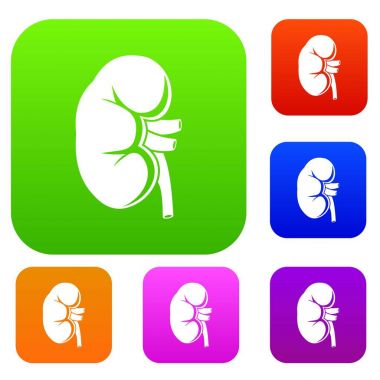 Böbrek koleksiyonu ayarla