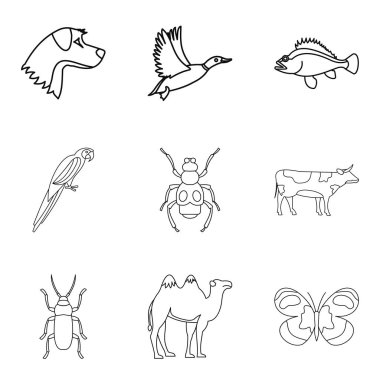 Sığır Icons set, anahat stili