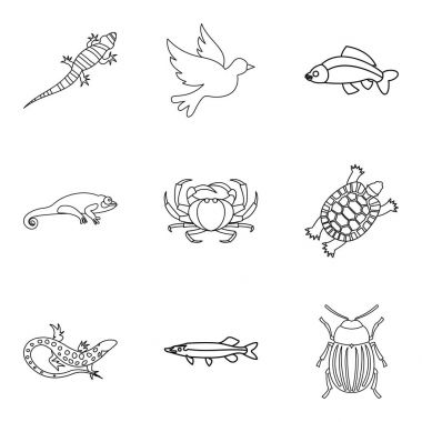 Dorr Icons set, anahat stili