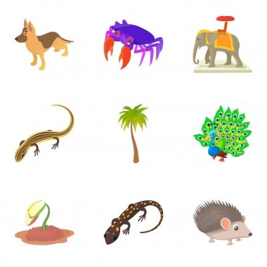 Hint hayvan Icons set, karikatür tarzı