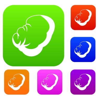 Dalak koleksiyonu ayarla