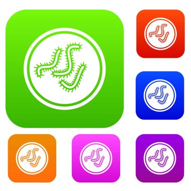 Çok bakteri koleksiyonu ayarla