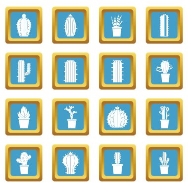 Farklı kaktüsler simgeler gök mavisi