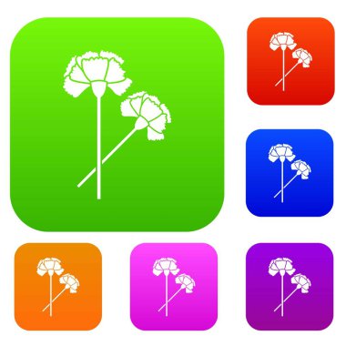 Karanfil koleksiyonu ayarla