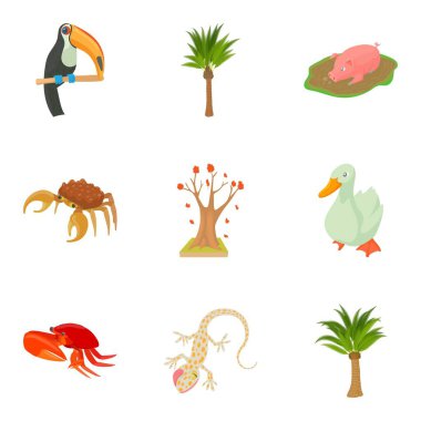 Avifauna Icons set, karikatür tarzı