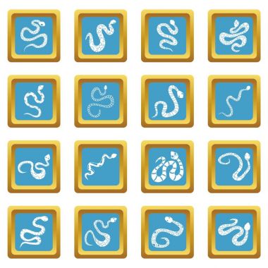 Yılan simgeler gök mavisi