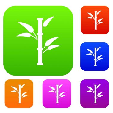 Bambu koleksiyonu ayarla