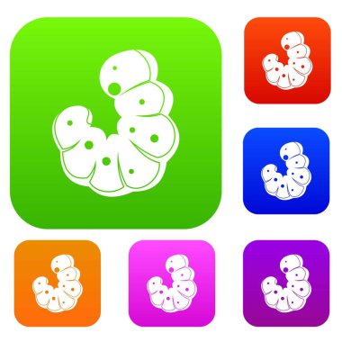 Solucan renk koleksiyonu ayarla