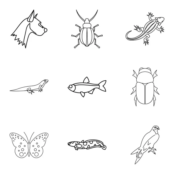 Jeu de beetle bois icônes, style de contour — Image vectorielle