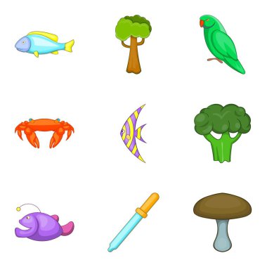 Doğa yasaları Icons set, karikatür tarzı